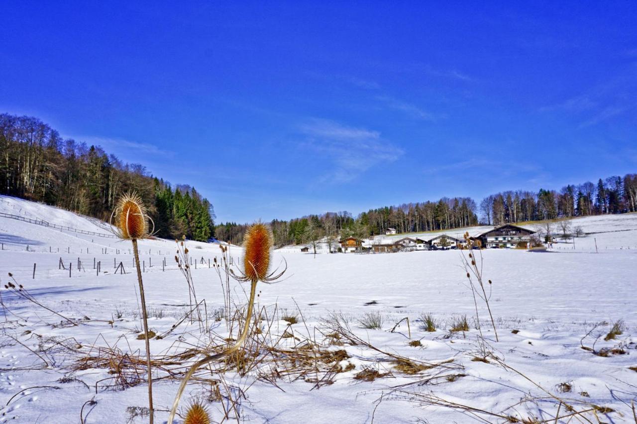 Ferienwohnungen Wanderparadies Bauernhof Aschau im Chiemgau Exterior foto